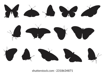 Full set of butterflies silhouettes vector illustration