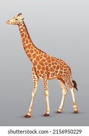 full size giraffe drawing. vector illustration design