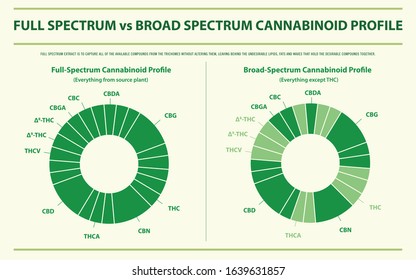 Full Spectrum vs Broad Spectrum Cannabinoid Profile horizontal infographic illustration about cannabis as herbal alternative medicine and chemical therapy, healthcare and medical science vector.