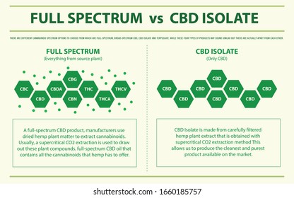 Full Spectrum Vs Broad Spectrum Horizontal Stock Vector (Royalty Free ...