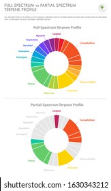 Full Spectrum vs Partial Spectrum Terpene Profile vertical business infographic illustration about cannabis as herbal alternative medicine and chemical therapy, healthcare and medical science vector.