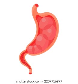 Full stomach. Heaviness of stomach, bloating, pain in the alimentary tract and acid heartburn. Duodenal problems and human organ health cartoon digestion system vector illustration.