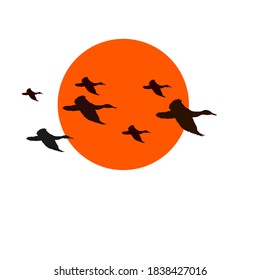 Full sun Flying duck vector in from white background