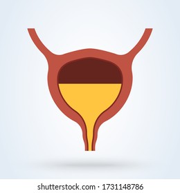 Full Urinary bladder. Human organ anatomy. Medical, healthcare and scientific concept. Vector illustration