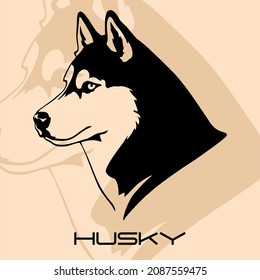 full vectors atrs, icons and graphist