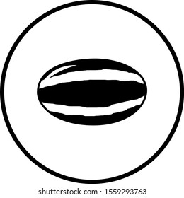 full watermelon fruit with striped skin vector symbol