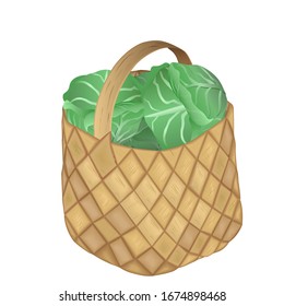 Full wicker basket with cabbage on a white background.