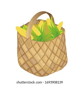Full wicker basket with corn on a white background. Vector illustration