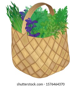 Full wicker basket with herbs on a white background. Set of fresh greens salad. Vector illustration