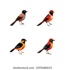 Full-body realistic image of the rarest bird, the Antioquia Brush Finch, on a white background.