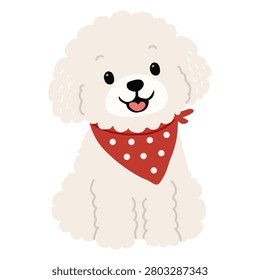 Full-body shot of a white fluffy matese dog with curly fur, resembling a maltese or bichon frise. The pet is sitting facing forward and wearing a bright red bandana decorated with white polka dots around its neck. Isolated on a plain white background.
