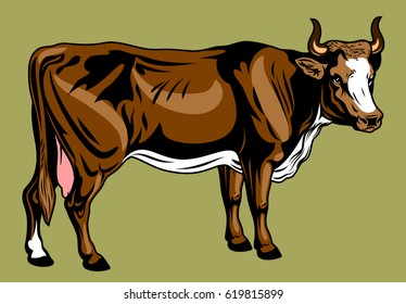 Full-length cow picture