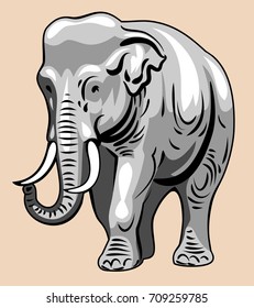 Full-length elephant image