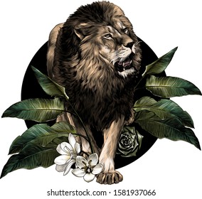 full-length lion walking on background composition of tropical plant leaves and flowers, sketch vector graphics color illustration on white background