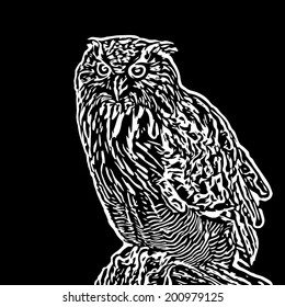Full-size portrait of a screech owl, sitting on stone on black background. Stare of a long-eared owl, very skilled raptor. Nocturnal bird with expressive amber wide open eyes. Vector illustration.