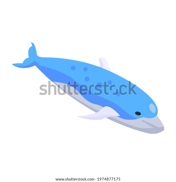 Fully Aquatic Placental Marine Mammal Whale Stock Vector (Royalty Free