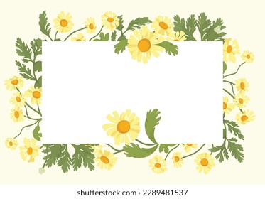Fully colored flowers are put around a rectangular shape on a white background. Frame made from the Feverfew or Chamomile flower parts. Floral frame for any design ideas.
