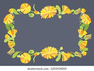 Fully colored flowers are put around a rectangular shape on a grey-blue background. Frame made from Calendula or Pot marigold flowers. Floral frame for any design ideas.