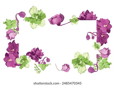 Fully colored flowers are put around a rectangular frame on a white background. Frame made from the parts of African violets in bloom. Floral frame for any design ideas.
