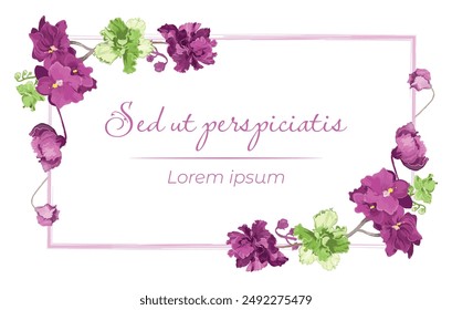 Fully colored flowers are put on a rectangular frame on a white background. Frame made from the African violets blossoming plant parts. Floral frame for any design ideas.