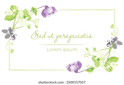 Fully coloured flowers are put on a rectangular frame on a white background. The frame is made from the parts of the African violet blossoming plant. Floral frame for any design ideas.