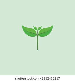 
a fully developed leaf bud