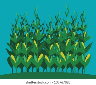 a fully editable horizontal illustration of a cornfield in front of a blue sky for any farm or agricultural concepts