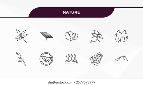 fully editable outline icon collection from nature concept. thin line icons set such as pecan leaf, solar, perfoliate, gooseberry leaf, dune,