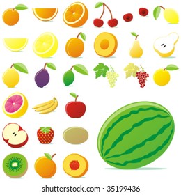 fully editable vector vector fruits with details ready to use