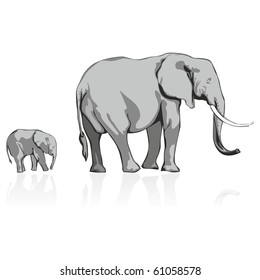 fully editable vector illustration of wild elephants