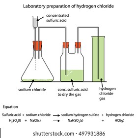 Fully labelled diagram of the laboratory preparation of hydrogen chloride gas