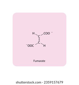 Fumarate Dicarboxylic Acid - intermediate in the citric acid cycle Molecular structure skeletal formula on pink background.