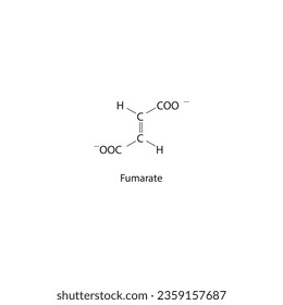 Fumarate Dicarboxylic Acid - intermediate in the citric acid cycle Molecular structure skeletal formula on white background.