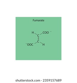 Fumarate Dicarboxylic Acid - intermediate in the citric acid cycle Molecular structure skeletal formula on green background.