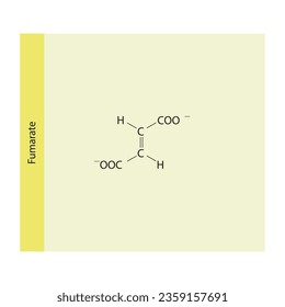 Fumarate Dicarboxylic Acid - intermediate in the citric acid cycle Molecular structure skeletal formula on yellow background.