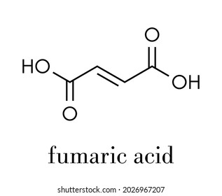 Fumaric acid molecule. Found in bolete mushrooms, lichen and iceland moss and used as food additive. Skeletal formula.