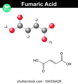 Fumaric acid molecule, fumarate, structural chemical formula and model, 2d & 3d vector, isolated on white background, eps 8