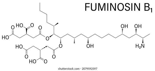 Fumonisin B1 mycotoxin molecule. Fungal toxin produced by some Fusarium molds, often present in corn and other cereals. Skeletal formula.