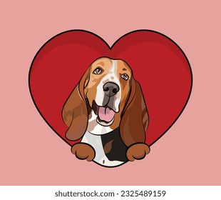 Fun Basset hound dog hanging with paws in a big Valentine's day heart. Love heart with pet head and heart and footprint. Dog face Holding Pink Heart Cartoon Icon. St Valentine's day for dog funs.