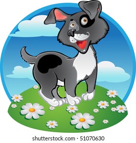 Fun black dog on color background
