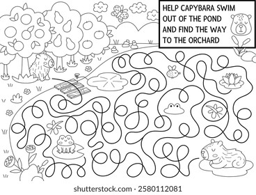 Fun black and white maze for kids with capybara swimming out from pond to fruit garden. Capibara preschool printable activity, coloring page with cute animal. Labyrinth game or puzzle
