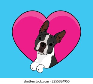 Fun Boston Terrier dog hanging with paws in a big Valentine's day heart. Love heart with pet head and heart and footprint. Dog face Holding Pink Heart Cartoon Icon. St Valentine's day for dog funs.