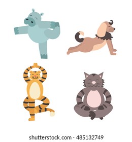 Fun Cartoon Animal of Yoga Pose isolated. Flat Design Style. Tiger, Dog, Cat and Hippopotamus animals in Meditation. Vector illustration