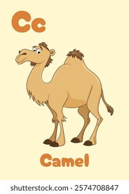 Fun cartoon camel illustration designed for teaching the alphabet. ABC card. Perfect for children's preschool educational material, books, and classroom visuals. Letter C. Alphabet flash card for kids