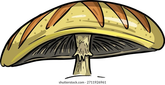 Fun Cartoon Mushroom Toadstool Character Vector Illustration