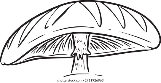 Fun Cartoon Mushroom Toadstool Character Vector Illustration