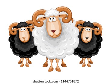 Fun cartoon sheeps, black colored and white. Vector illustration. Isolated on white background.