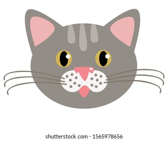 fun cat face grey vector