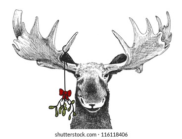 Fun Christmas Tradition Of Kiss Under Mistletoe, Funny Humorous Christmas Card Sketch Of Big Smiling Moose Waiting For Smooch, Hand Drawn Holiday Vector Illustration, Christmas Image Or Winter Scene