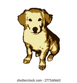Fun and cute little dog golden retriever painted in the style of pop art